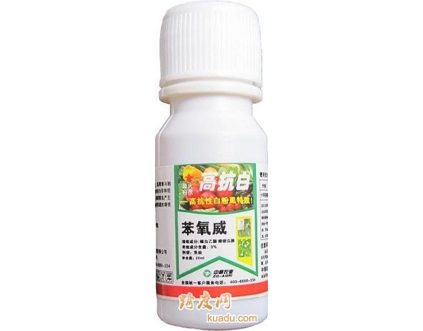 高抗白