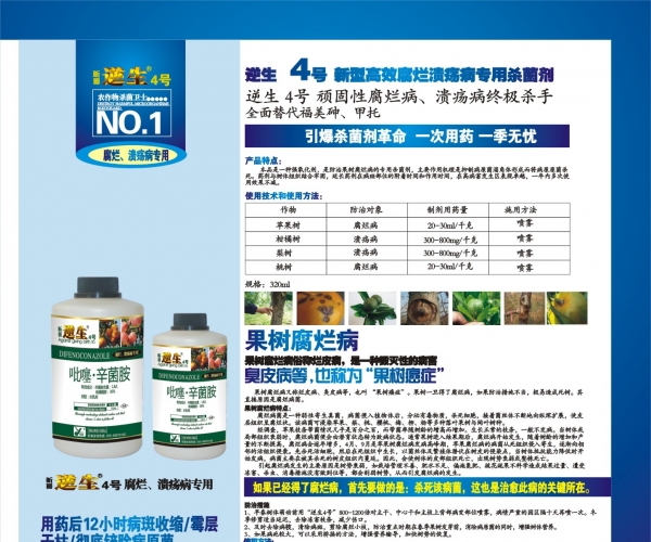 4号.jpg