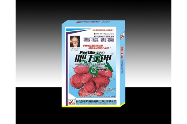 红薯专用盒装.jpg
