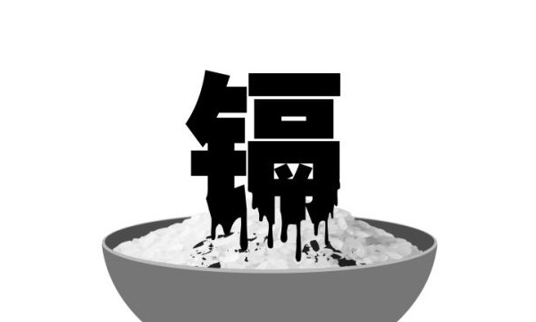 QQ图片20130523163004.jpg