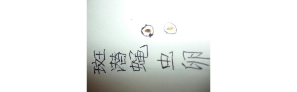 1369741959765.jpg