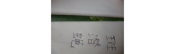 1369741958109.jpg