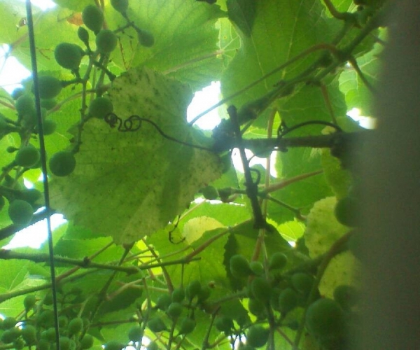 QQ图片20130611161840.jpg