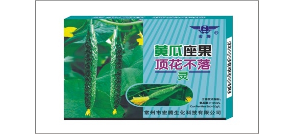 黄瓜顶花.jpg