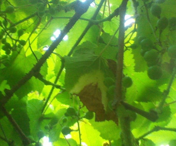 QQ图片20130611161629.jpg