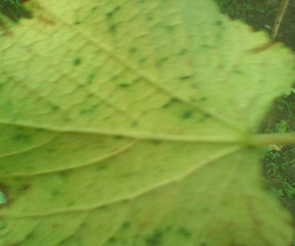 QQ图片20130611161802.jpg