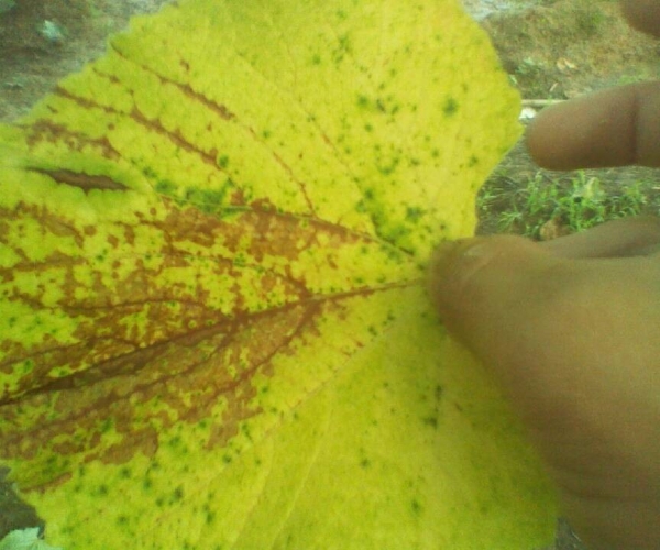 QQ图片20130611161656.jpg