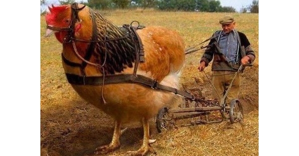 QQ图片20130614134259.jpg
