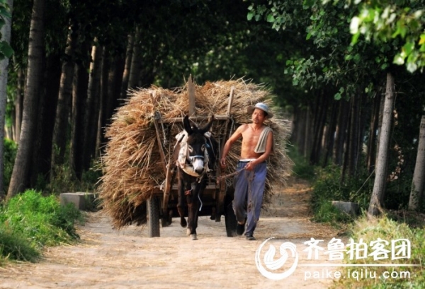 215557guscfa1fpp91m4hh.jpg.thumb.jpg