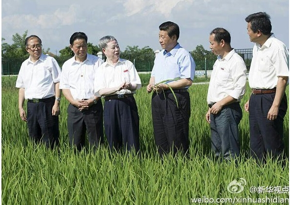 习近平.jpg