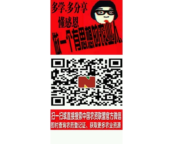 11452626k1tk4mwsut6kfb_副本.jpg