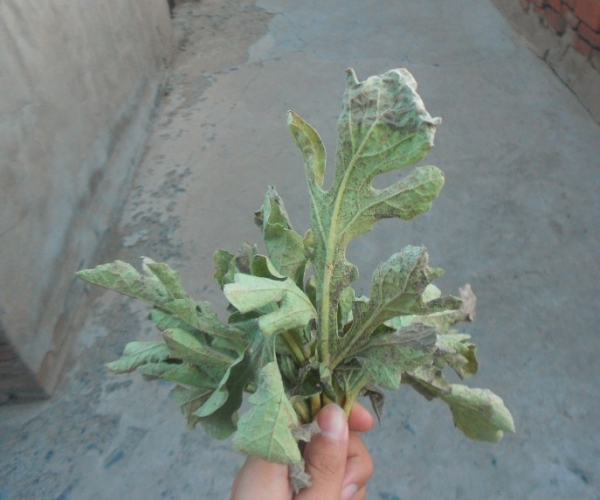 QQ图片20130720123317.jpg