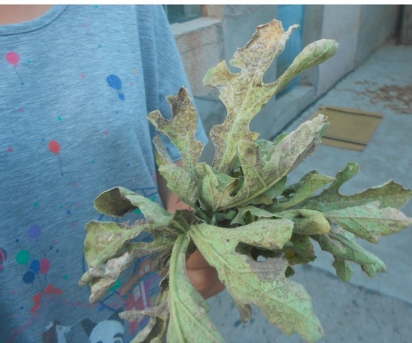QQ图片20130720123323.jpg