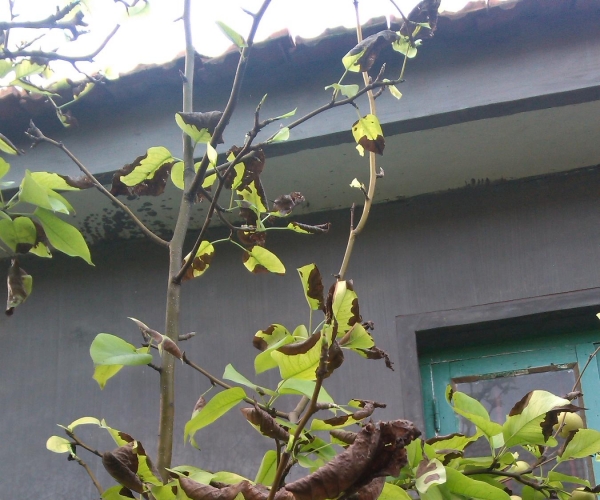 IMG_20130728_170025.jpg