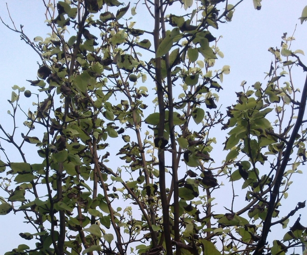 IMG_20130728_170054.jpg